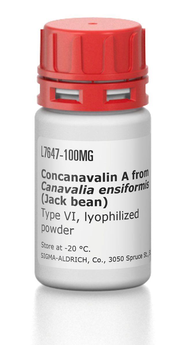ConA Type A IV ConA Type A IV